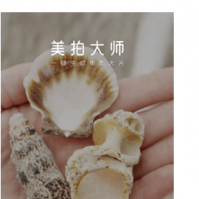 介绍美拍大师发朋友圈方法及番茄todo白名单怎么设置