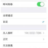 介绍苹果手机iPhone怎么设置呼叫转移