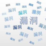 利用漏洞仍然需要做一些工作才能使其更加稳定